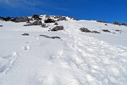 Invernale solitaria pomeridiana in VENTUROSA (1999 m) da Buffalora il 21 febb. 2018 - FOTOGALLERY